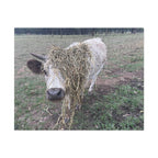 TheVillageHighlandCows Gracie Puzzles - OEMUniverse